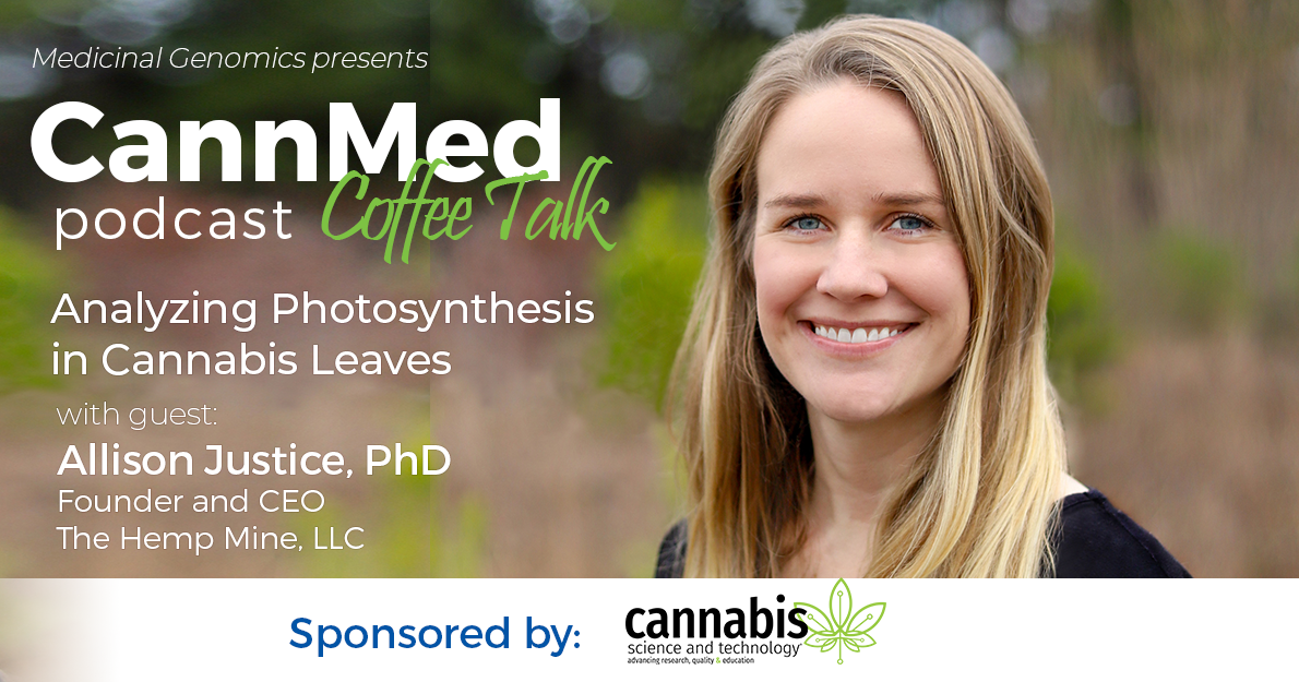 Analyzing Photosynthesis in Cannabis Leaves