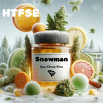 HTFSE- Snowman
