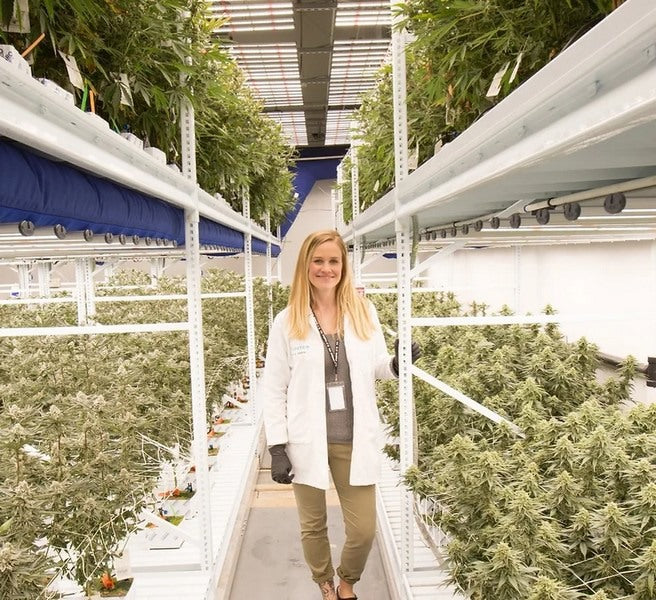 Research can help cannabis companies to reduce costs
