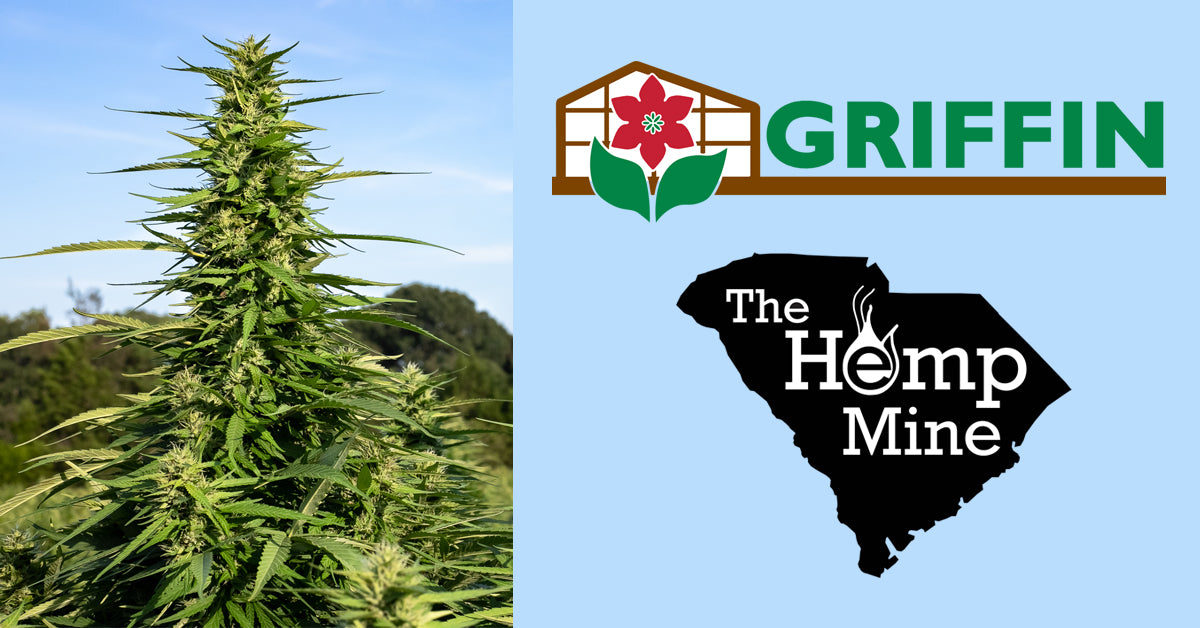 The Hemp Mine & Griffin Partner to Bring Customers Industry-Leading Genetics