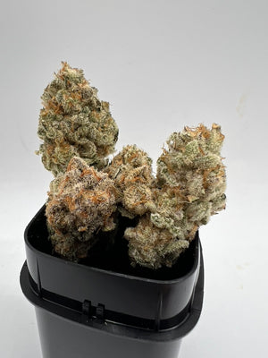Premium THCa Flower 'Peaches & Cream (P&C)' INDOOR