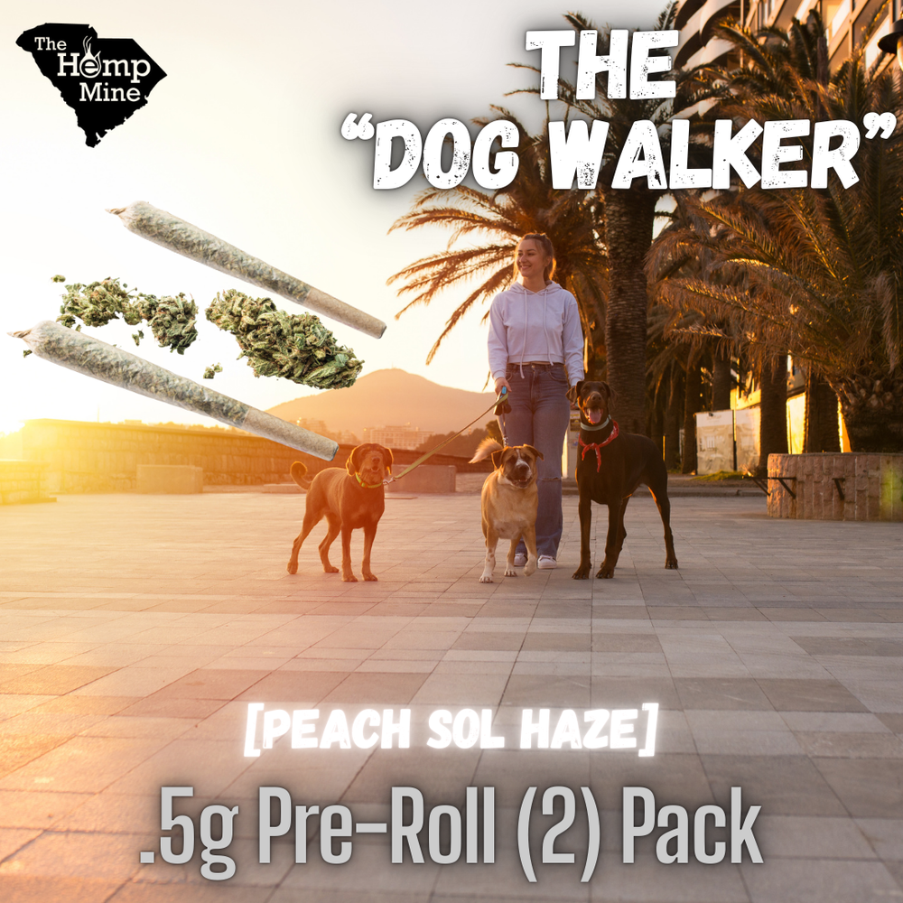 Premium CBD Peach Sol Haze Pre-Rolls – 2 Pack (.5g Each) | DOG WALKERS