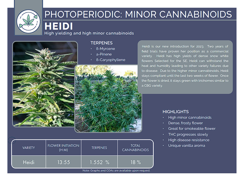 Premium Outdoor 'Heidi' Hemp Flower CBD