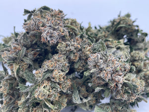 Gremlin – 1:1 Premium THCa:CBD Flower