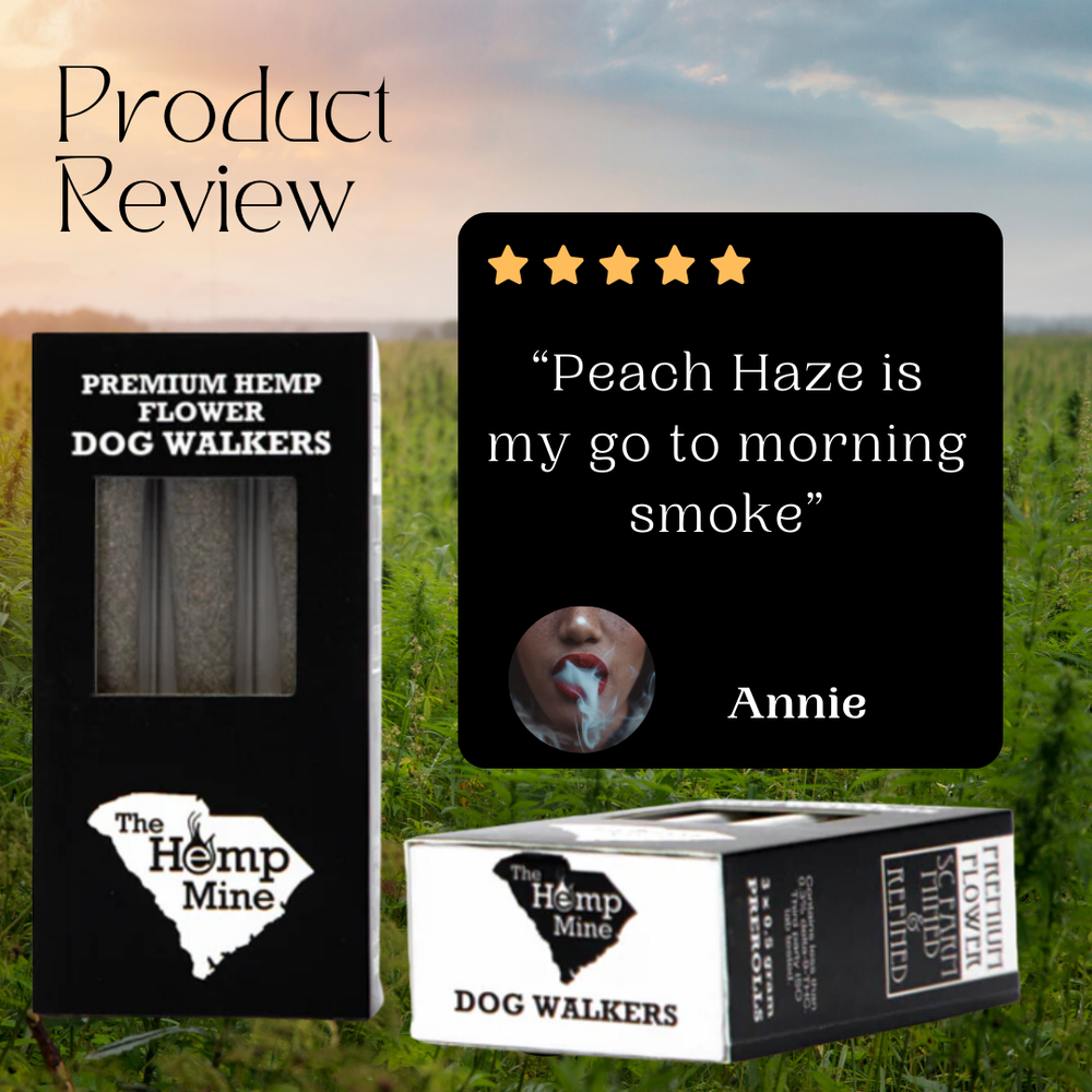 Premium CBD Peach Sol Haze Pre-Rolls – 3-Pack (.5g Each)