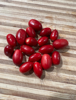 Miracle Berry Fruit Seed- for planting tree, one fruit Synsepalum dulcificum