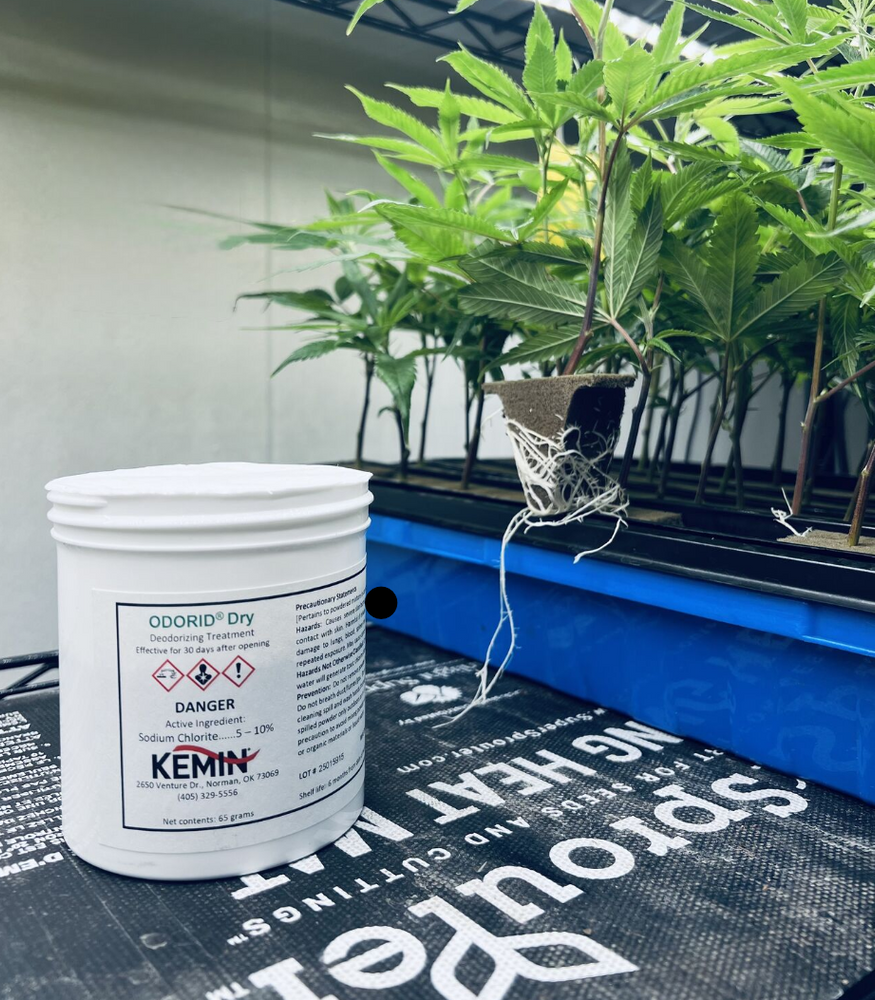 ODORID® Dry – Long-Lasting Odor Control for Cannabis Cultivation