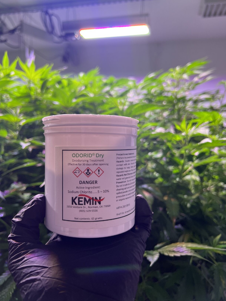 ODORID® Dry – Long-Lasting Odor Control for Cannabis Cultivation