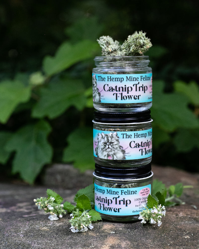 Catnip Trip Flower Jars